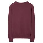 GANT Men's Cotton Wool V-Neck Sweater