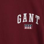 GANT Men's Graphic T-Shirt