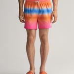 GANT Men's Gradient Print Swim Shorts