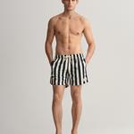 GANT Classic Fit Block Stripe Swim Shorts